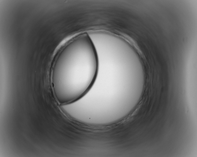 X0000084001176200703091900