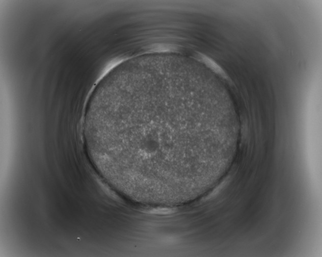 X0000084001178200703091900