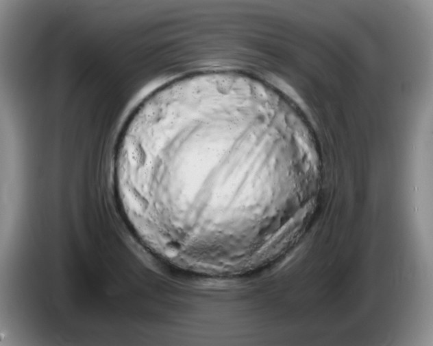 X0000084001179200703091900