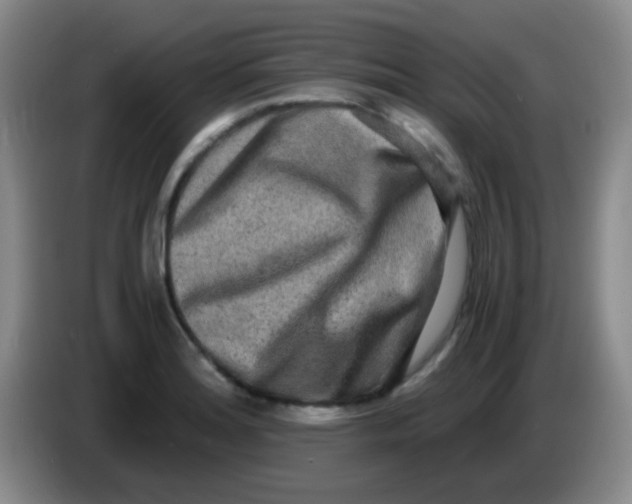 X0000084001180200703091900