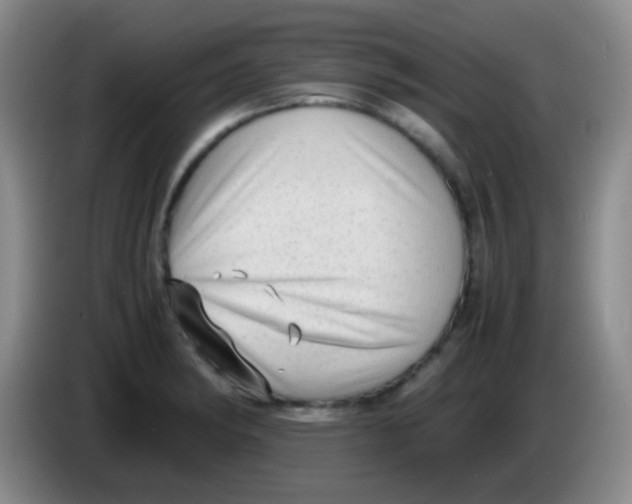 X0000084001182200703091900