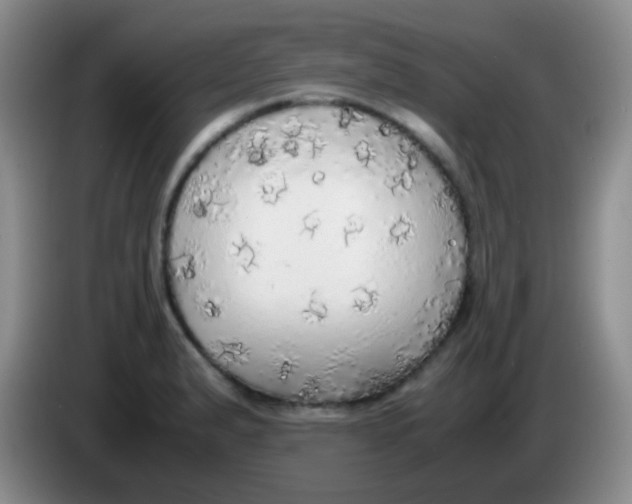 X0000084001183200703091900