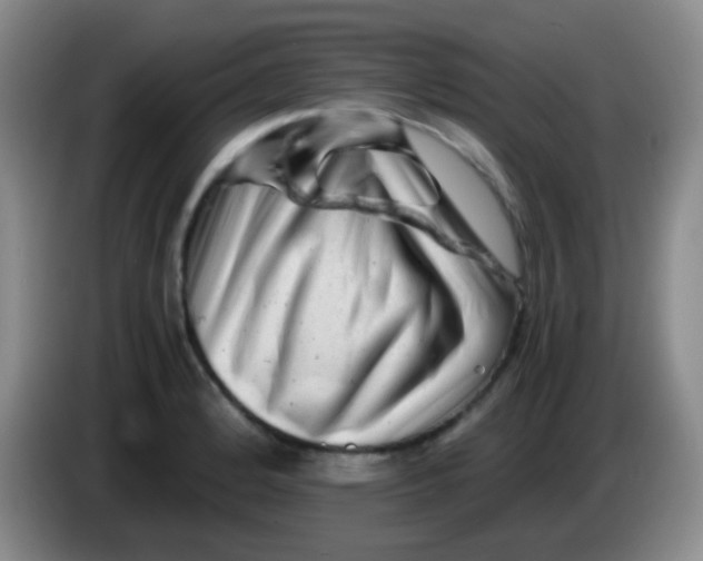 X0000084001184200703091900