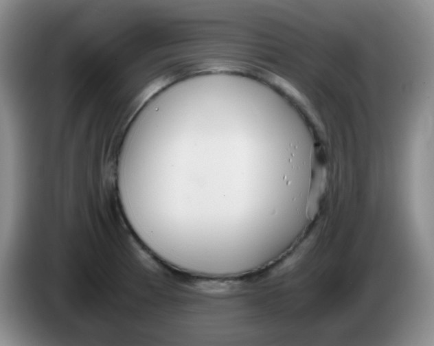 X0000084001185200703091900