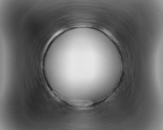 X0000084001189200703091859