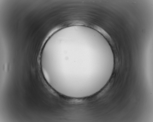 X0000084001190200703091859