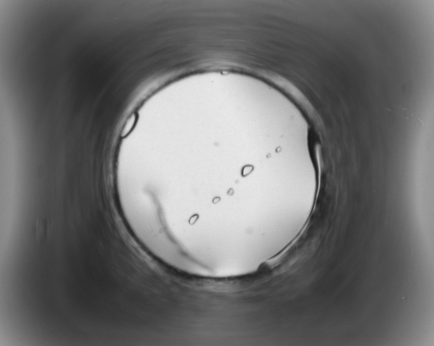 X0000084001191200703091859