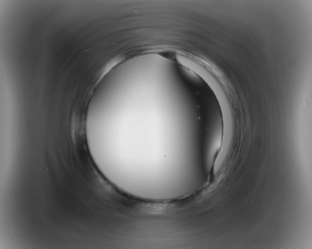 X0000084001193200703091859