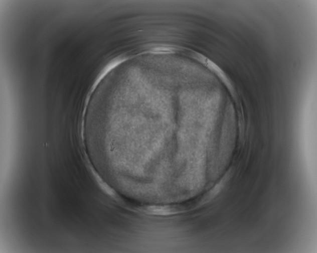 X0000084001194200703091859