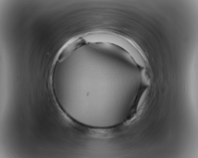 X0000084001197200703091859