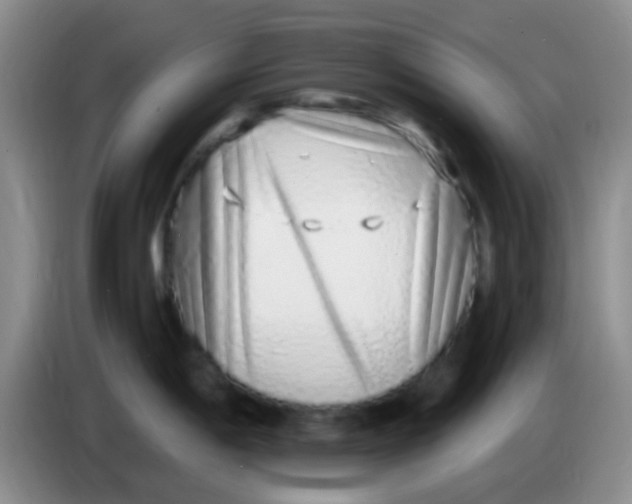 X0000084001198200703091859