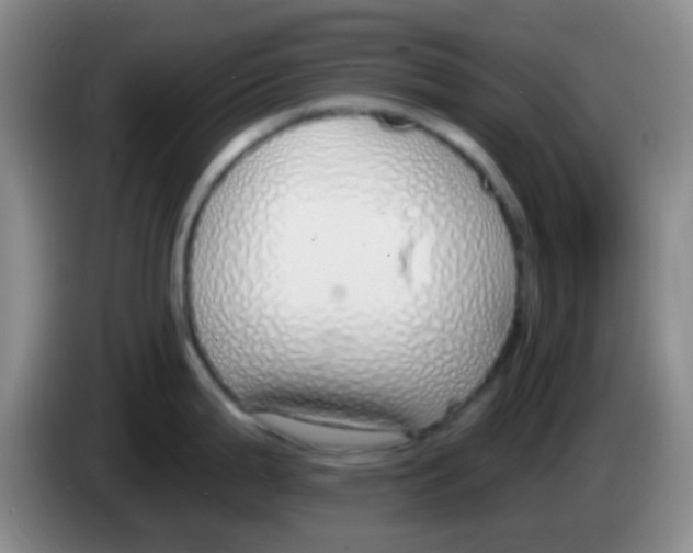 X0000084001199200703091859