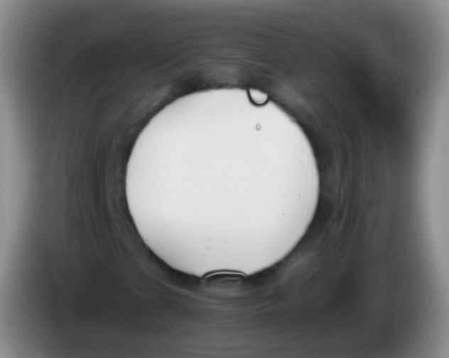 X0000084001201200703091859