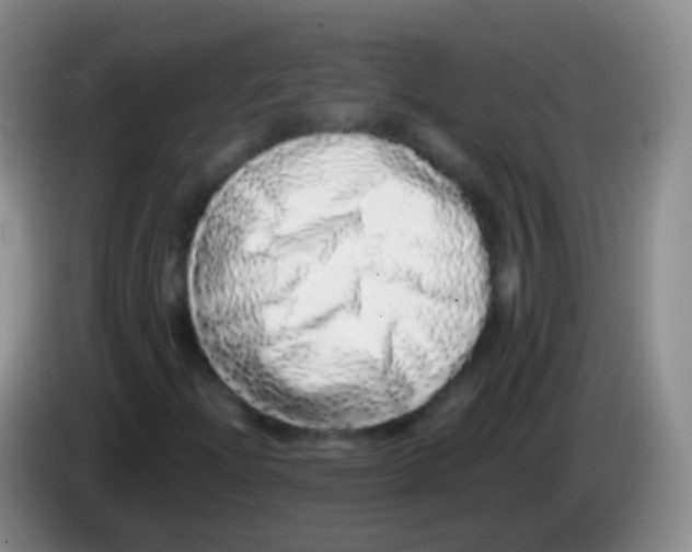 X0000084001204200703091859