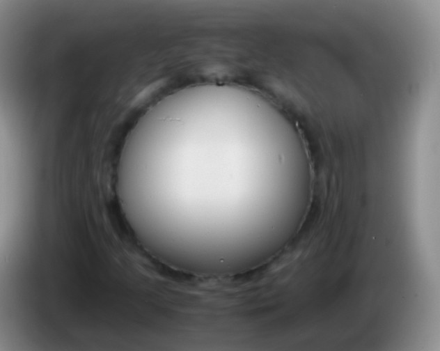 X0000084001205200703091859