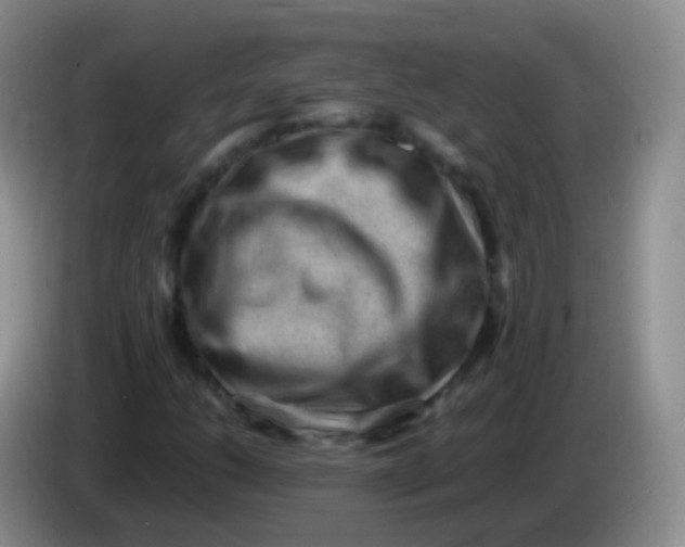 X0000084001206200703091859