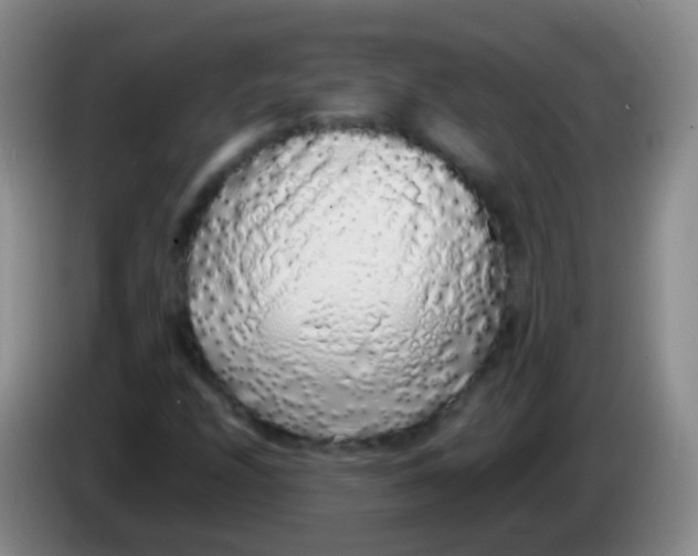 X0000084001208200703091859