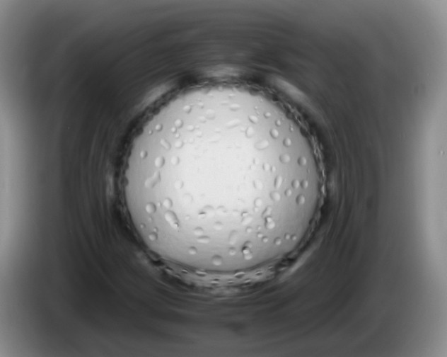 X0000084001209200703091859