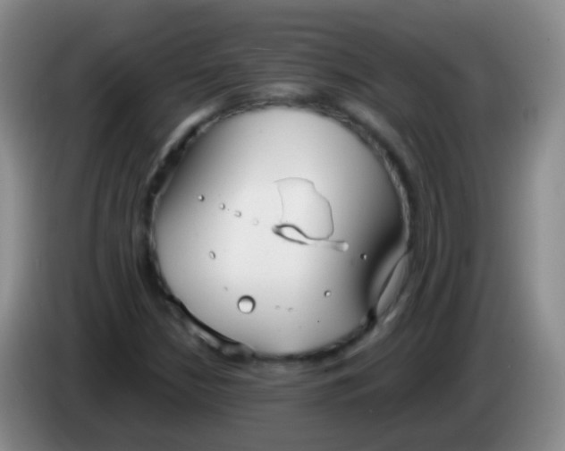 X0000084001210200703091859