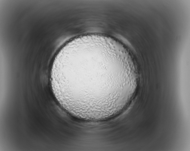 X0000084001212200703091859