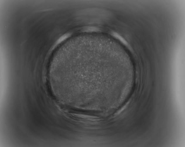 X0000084001213200703091859