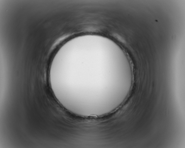 X0000084001214200703091859