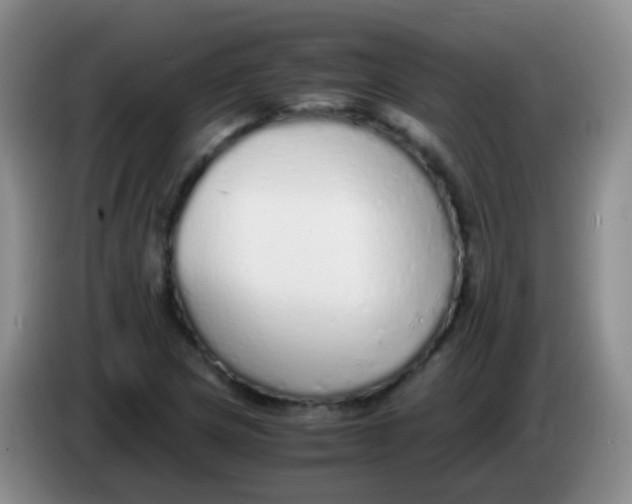 X0000084001217200703091859