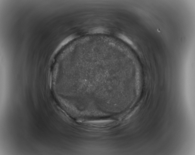 X0000084001219200703091859
