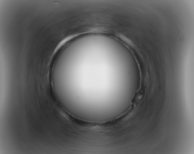 X0000084001222200703091859