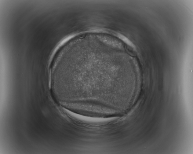 X0000084001223200703091859