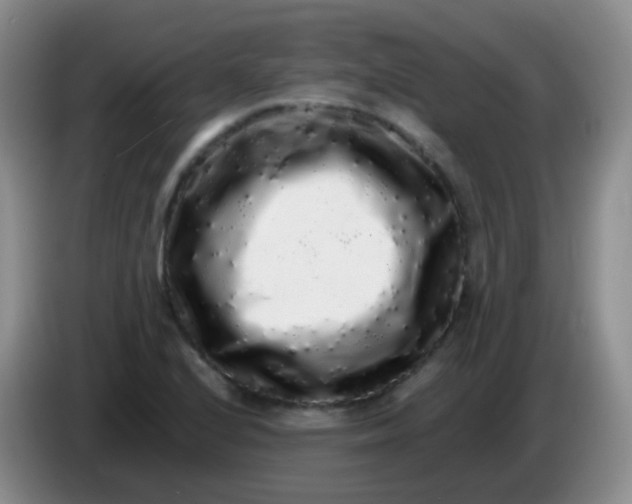 X0000084001224200703091859