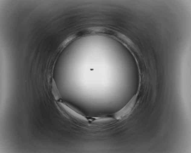 X0000084001225200703091859