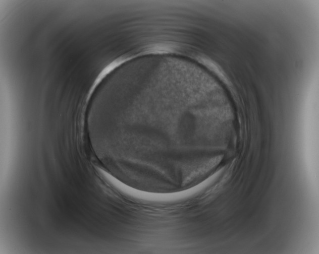 X0000084001226200703091859