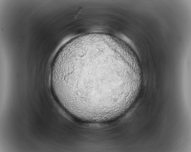 X0000084001227200703091859