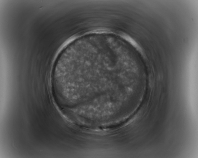 X0000084001229200703091859