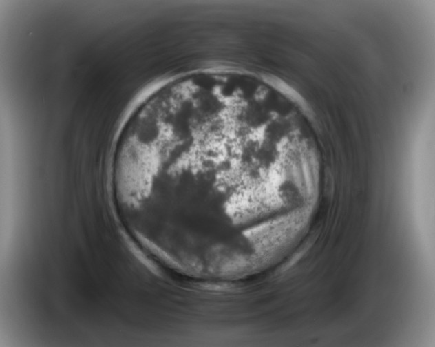 X0000084001231200703091859