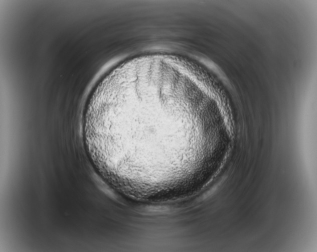 X0000084001232200703091859