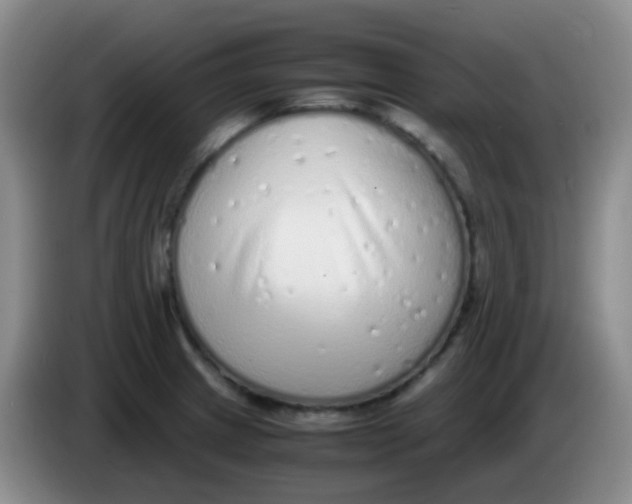 X0000084001233200703091859
