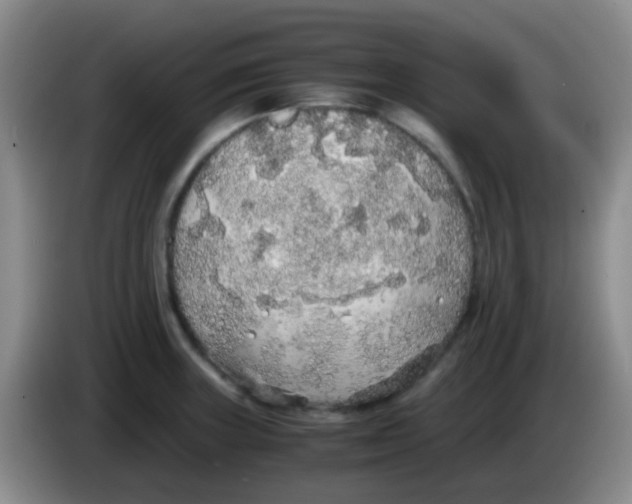 X0000084001235200703091859