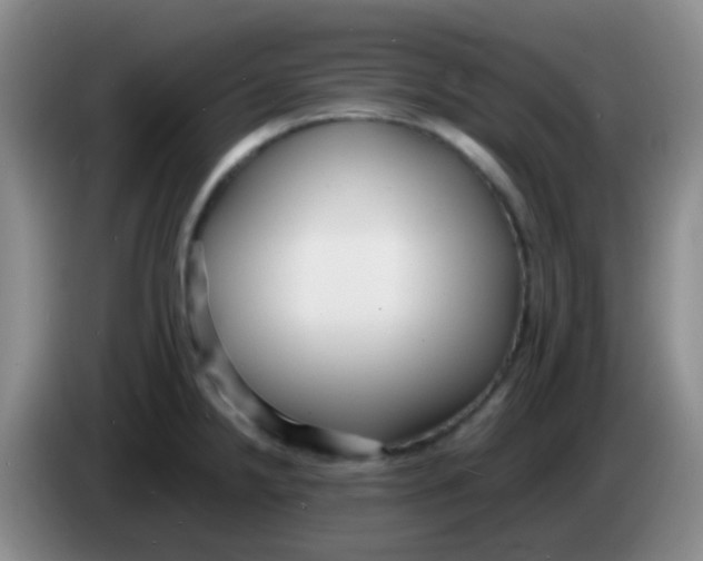 X0000084001238200703091859