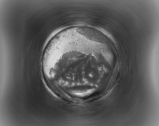 X0000084001239200703091859