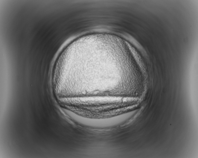 X0000084001240200703091859