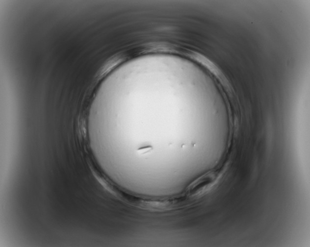 X0000084001241200703091859