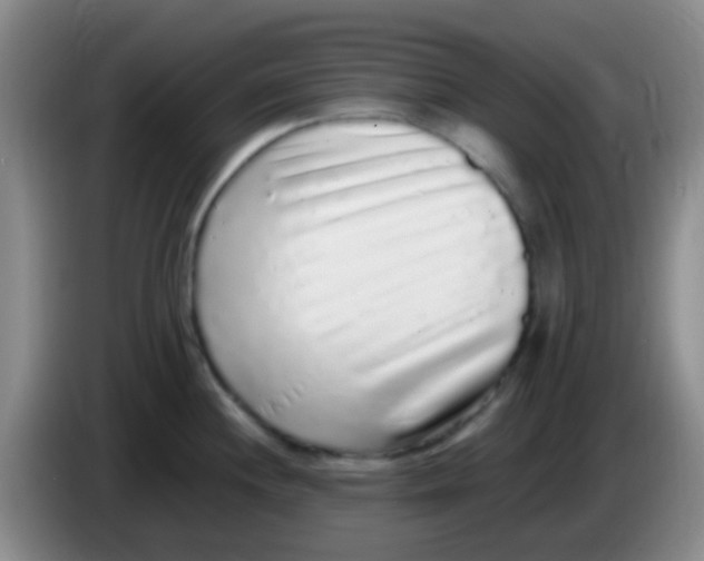 X0000084001244200703091859