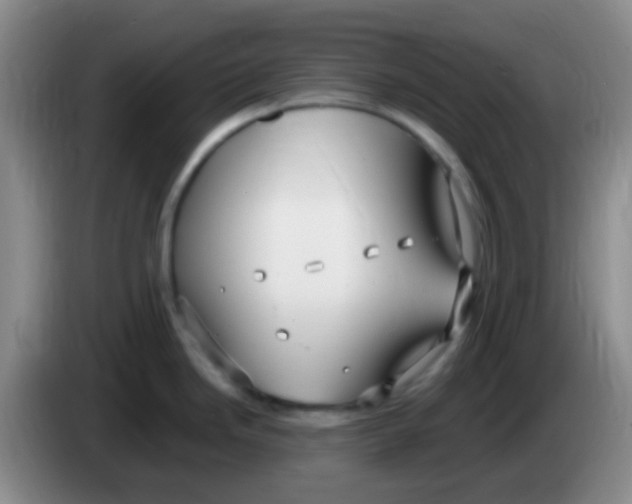 X0000084001246200703091859