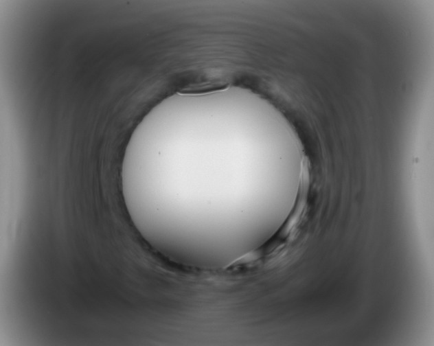 X0000084001249200703091859