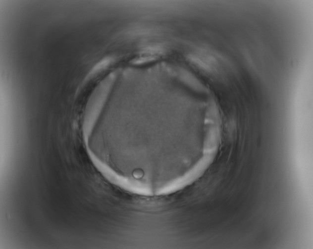 X0000084001254200703091859