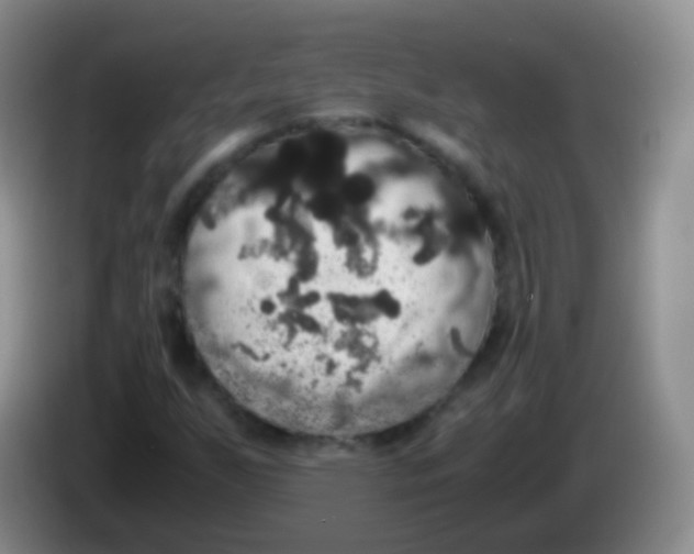 X0000084001255200703091859