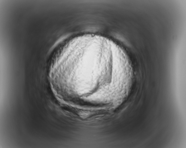 X0000084001256200703091859