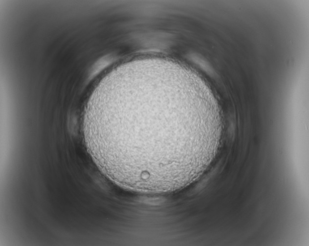 X0000084001258200703091859